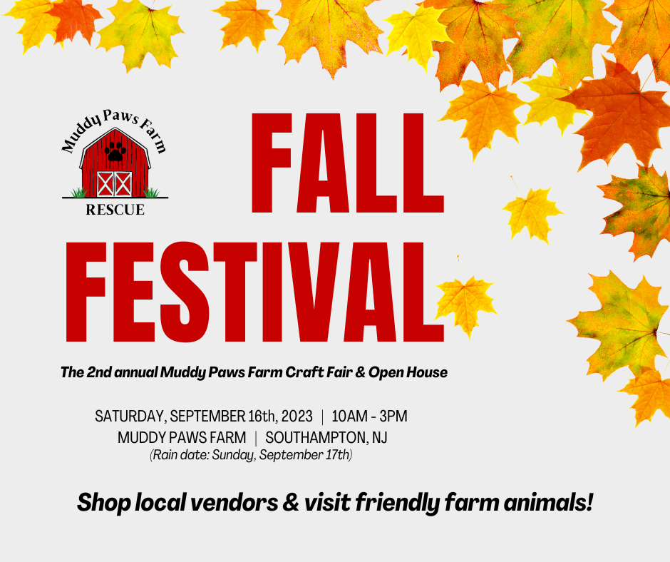 Muddy Paws Farm Annual Fall Festival